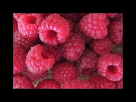 framboises
